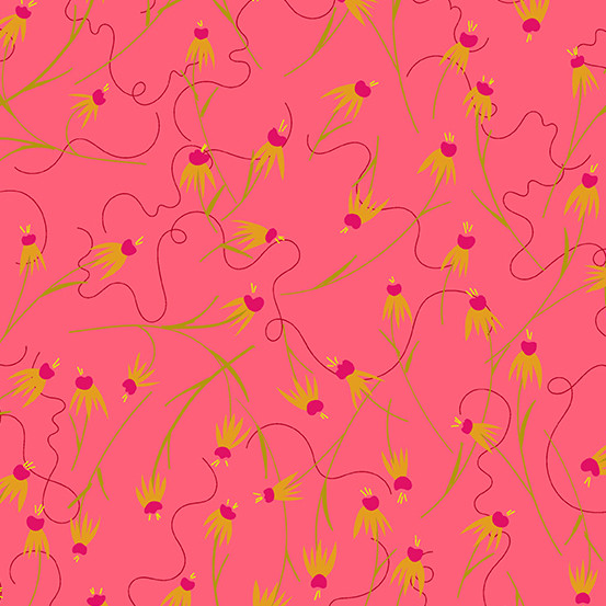 Wildflowers - Coneflower Coral