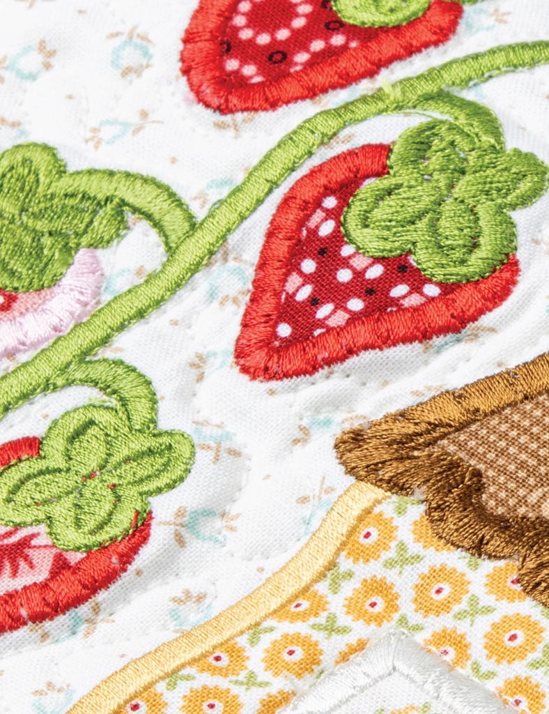 Home Town Quilt Projects - Machine Emb USB