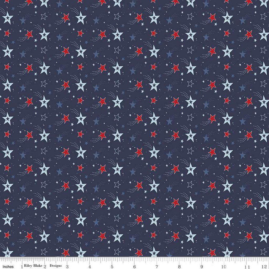 Stars and Stripes Forever Shooting Stars Navy