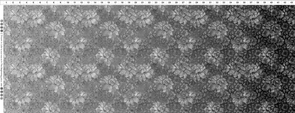 I Dream in Color - Rose Ombre - Gray