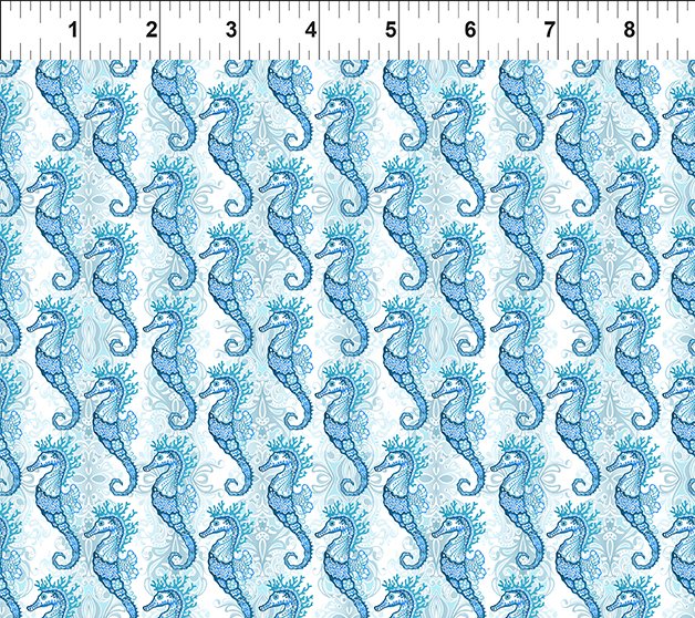 Wonders of The Ocean - Seahorse