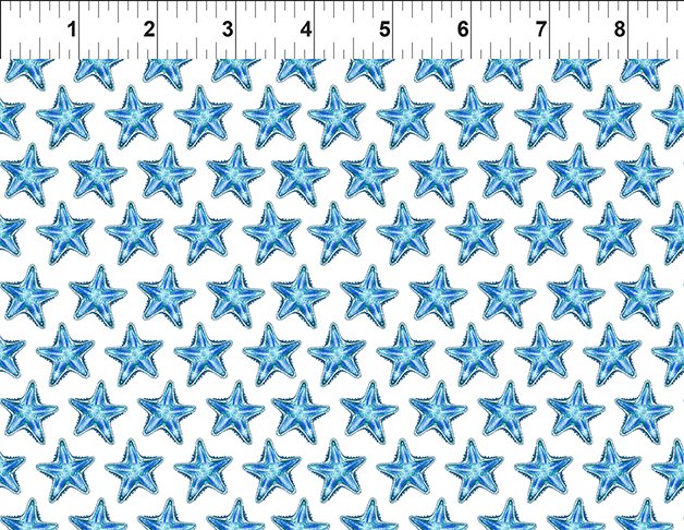 Wonders of The Ocean - Starfish