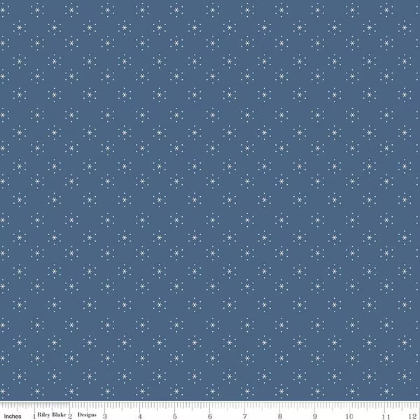 Americana Sparkle Denim