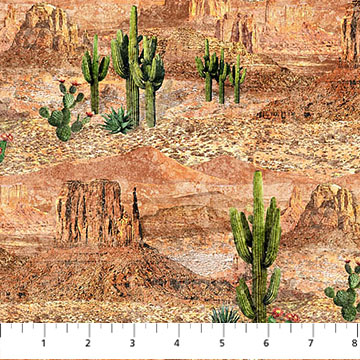 Sedona Spirit - Desert Landscape