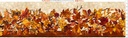 Falling Leaves - Boarder - Multi