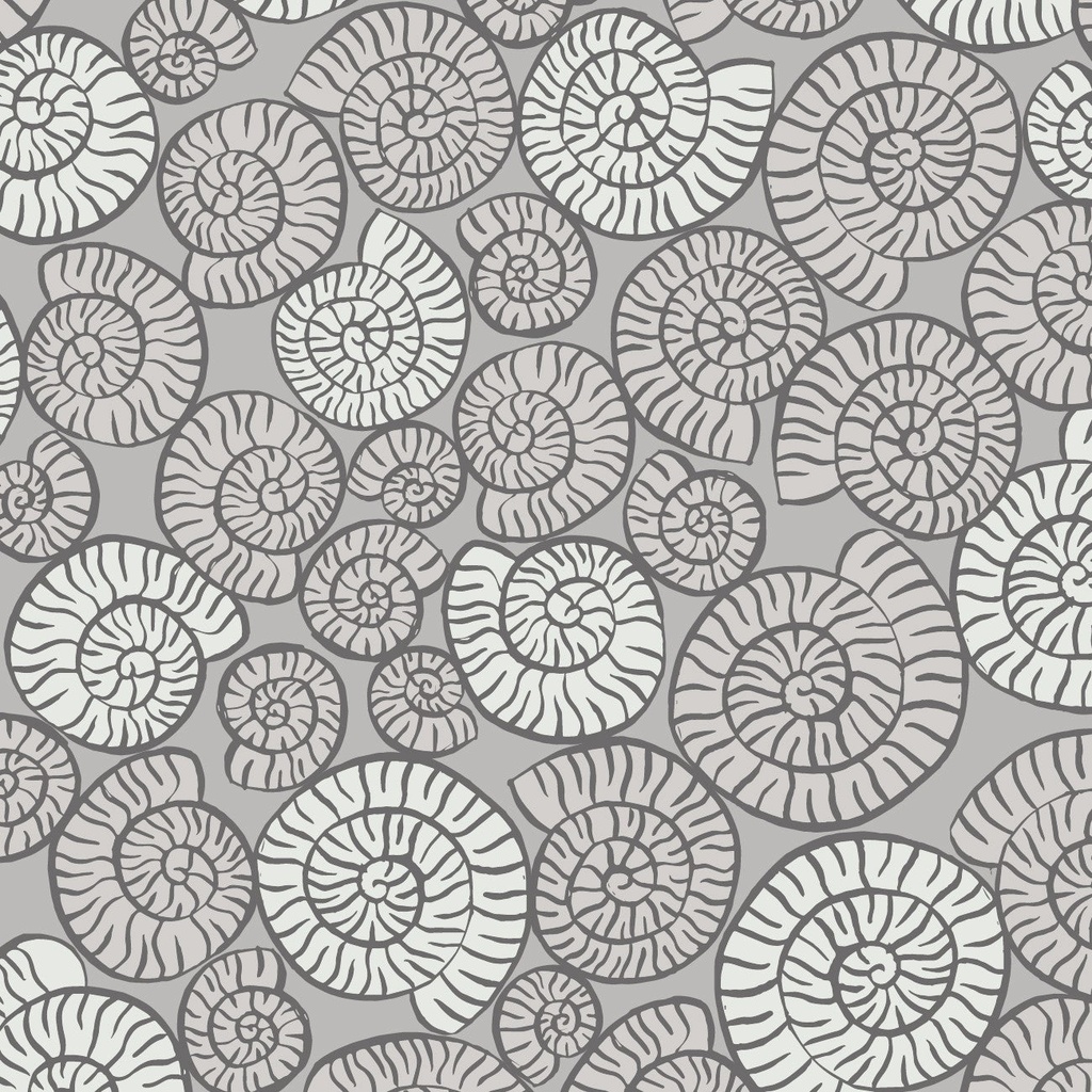 Dino Glow Ammonites Grey