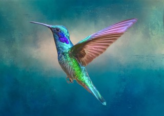 Fun Size - Bejeweled Beauty Hummingbird