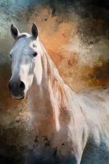 Fun Size - Ghostly White Horse