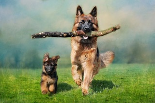 Fun Size - Ready to Play