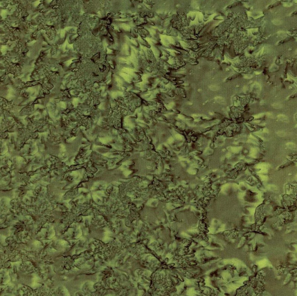 Expressions Batiks Hand-Dyes Olive