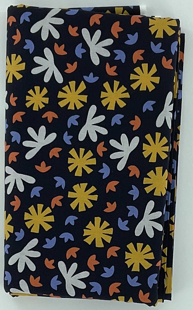 BBM26 Border - Conway Cottage