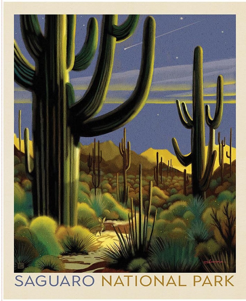 Wilderness and Wonder National Parks Saguaro Poster Panel
