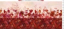 Allure - Border - Red