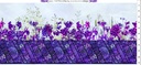 Allure - Border - Purple