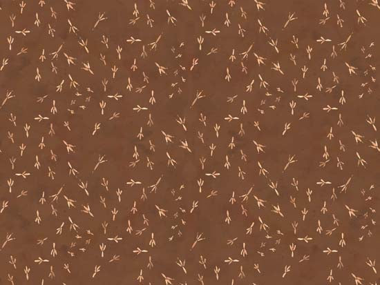 Footprint Scatter Brown