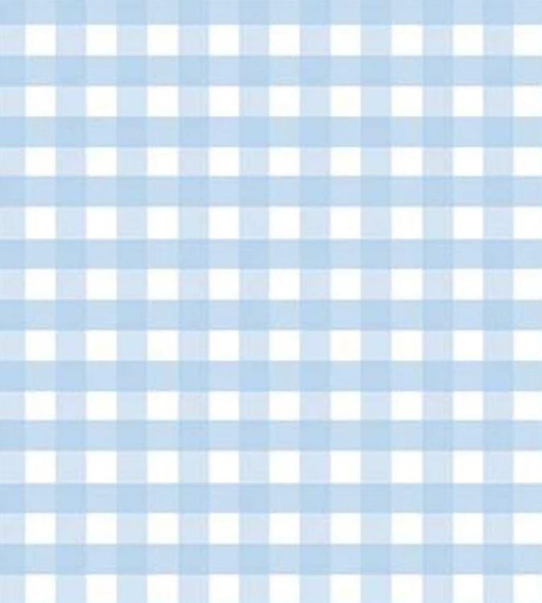 Howdy Gingham