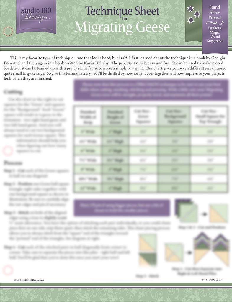 Migrating Geese Technique Sheet-Studio 180