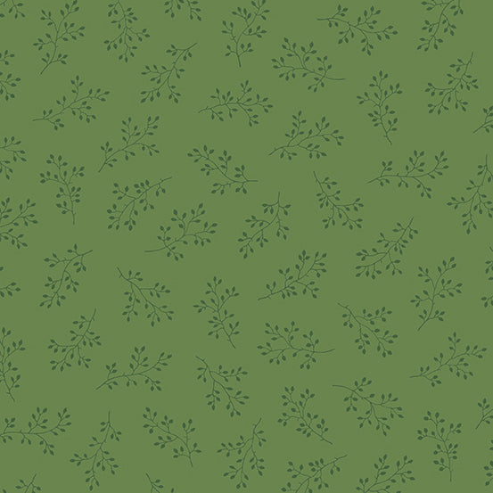 Olive Branch Pine