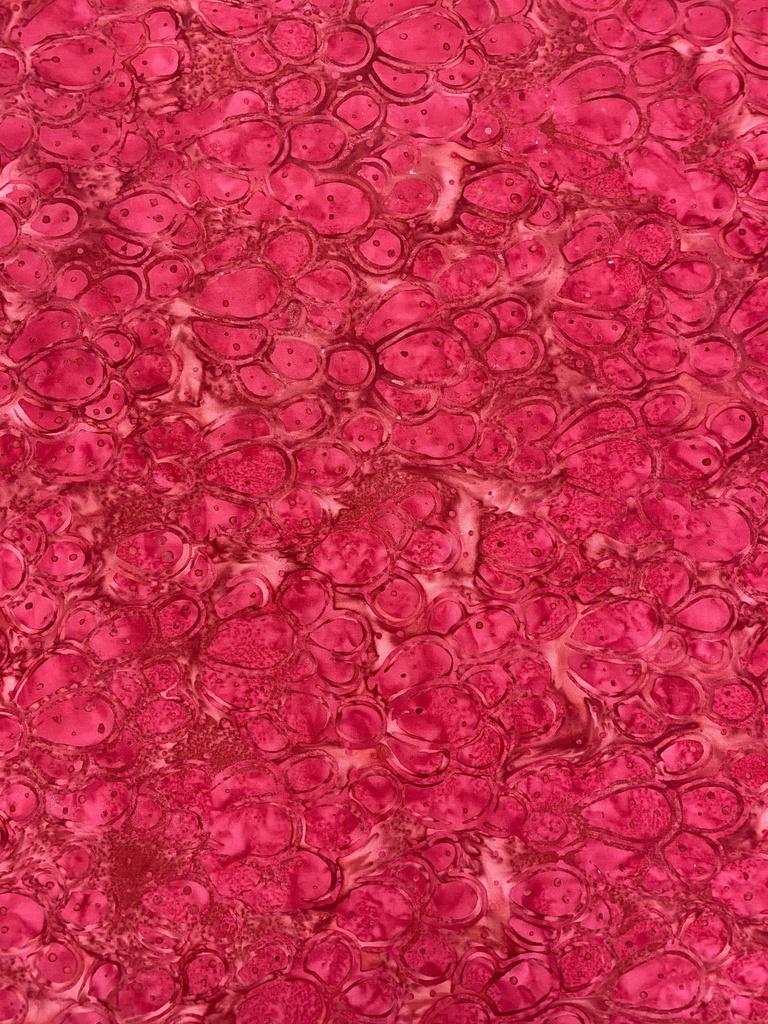 Pink/Red Cactus Themed - Majestic Batiks