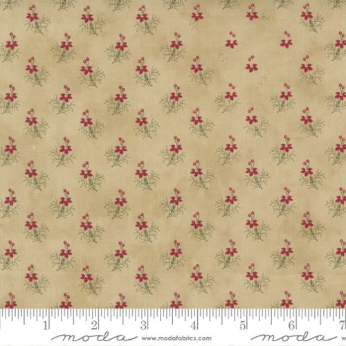 SALE-Poinsettia Plaza Parchment