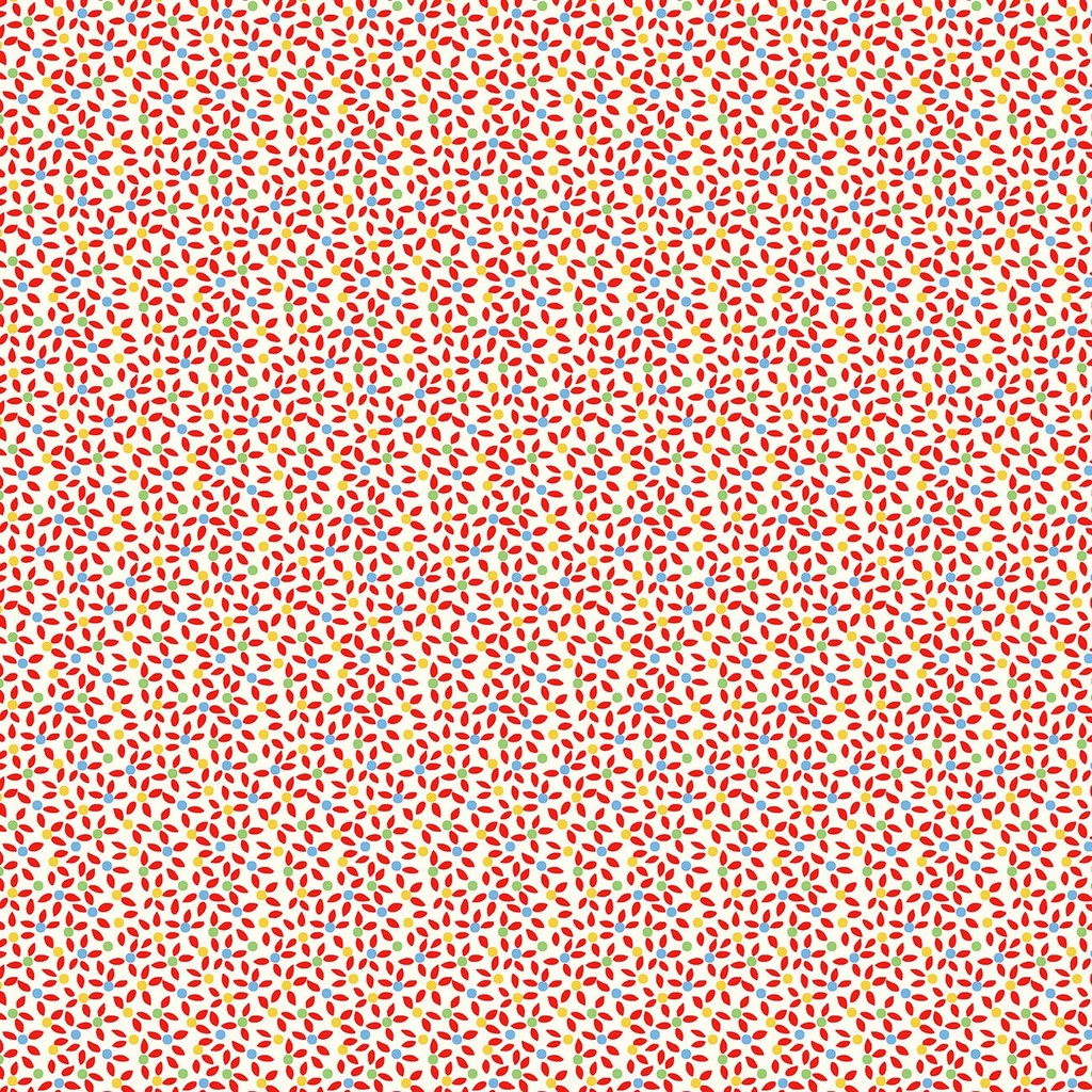 Storybook '22 Red Rainbow Daisies