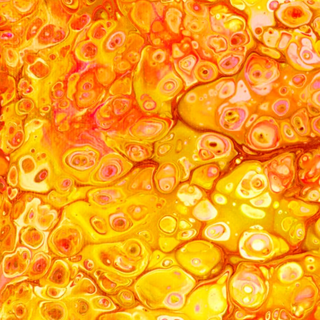 Fusion Orange
