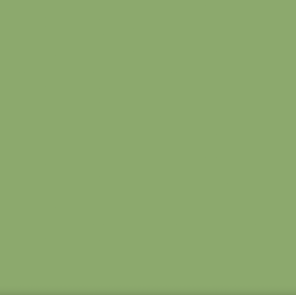 Confetti Cotton Solid Riley Green