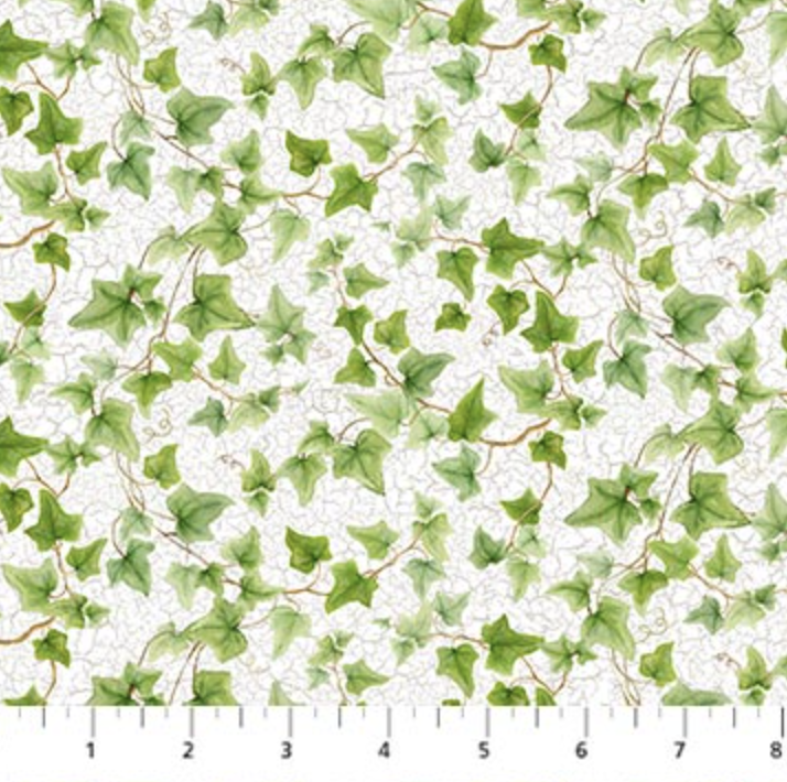 Plant With Love White Multi Ivy