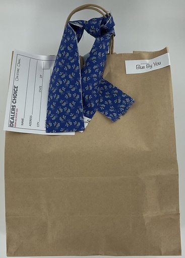 [BBM25-BlueByYou] Blue By You - Brown Bag 2025