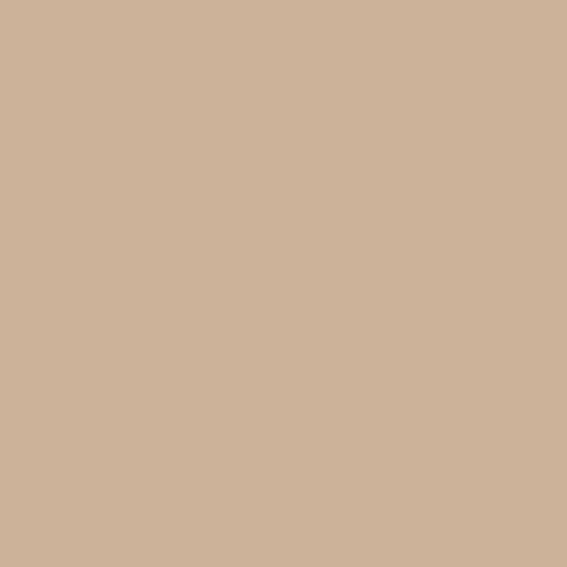 [C120-Palomino] Confetti Cotton Solid Palomino