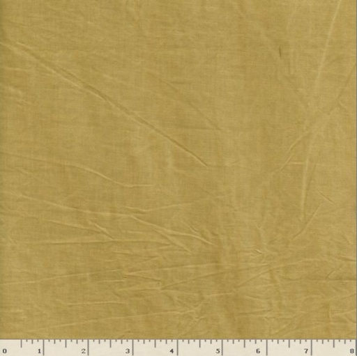 [WR87750] Aged Muslin - Mustard