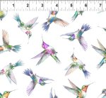 [5DD-1] Daydreams - Hummingbirds - Multi