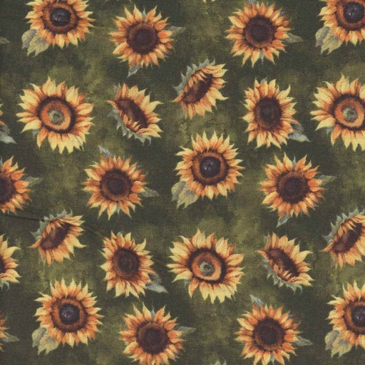 [1665-33917-725] Sunkissed Sunflowers