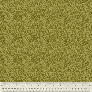 [54776D-11] Forest Fruits - Morel Moss