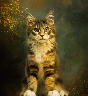 [FUN-002] Fun Size - Pretty Kitty