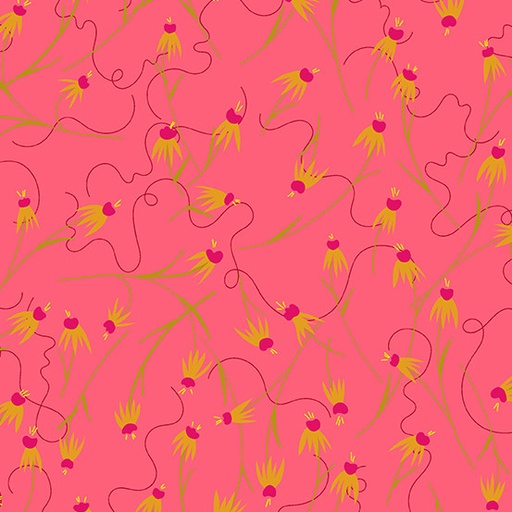 [A-671-E] Wildflowers - Coneflower Coral