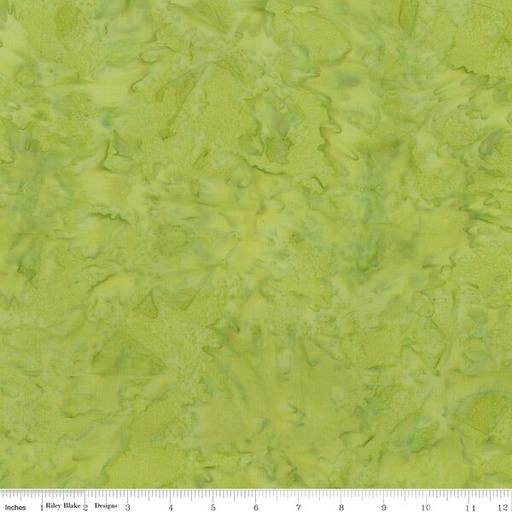 [BT21000-720] Batiks Hand-Dyes Spring Meadow