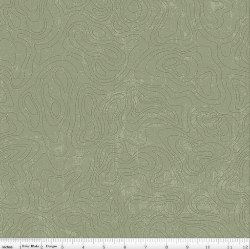 [C13293-GREEN] National Parks Topographic Green