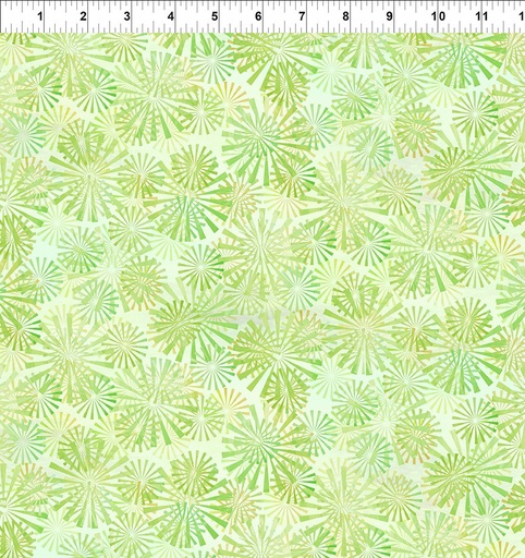 [5FEL-2] Felicity Green Rays