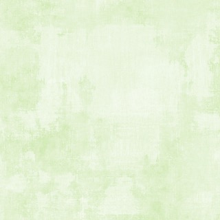 [89205-700] Pale Lime Dry Brush