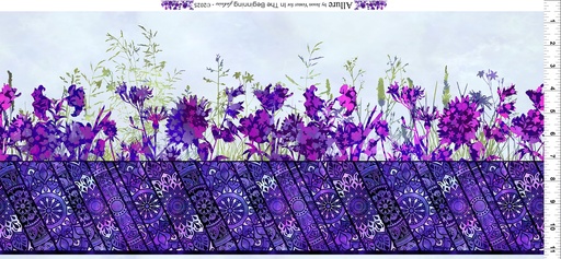 [1ALR3] Allure - Border - Purple