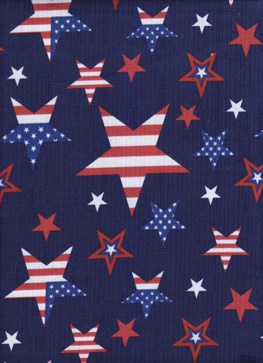 [PST-N] Patriotic Stars Navy