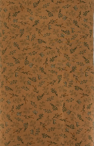 [DR Scroll - A] Tossed Botanical Sprigs on Cinnamon from Japan