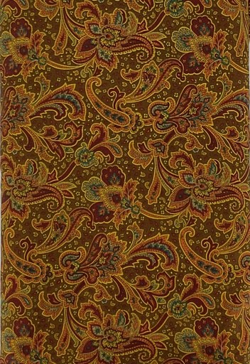 [RST Medium Flo-C] Warm Paisley on Brown from Japan