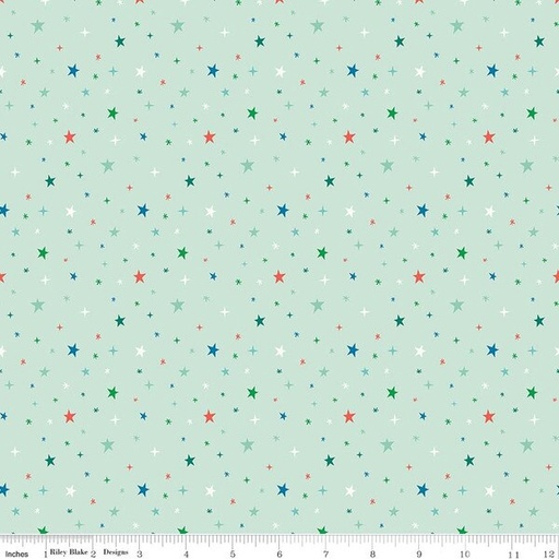 [C18314-MINT] Brave Your Way Beyond the Stars Mint