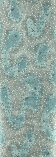 [PJ2711CcoE] Blue Grey Blender from Japan