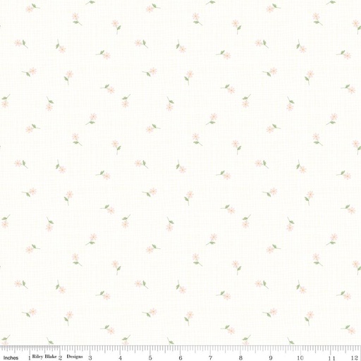 [C18340-DAISIES] Hush Hush 6 Oopsie Daisies