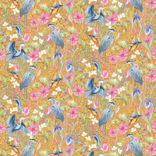 [DDC12976-Multi-D] Grace in the Reeds