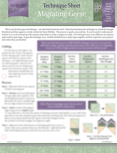 [DTEC04] Migrating Geese Technique Sheet-Studio 180