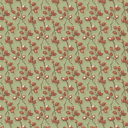 [A-285-G] Sage Barberry Practical Magic